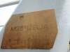 013-maja-nas-je-peljala-na-most-elja