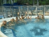 021-lako-2011-2-large