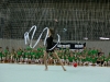 036-SD AS