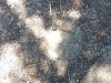 20170719_115534-medium